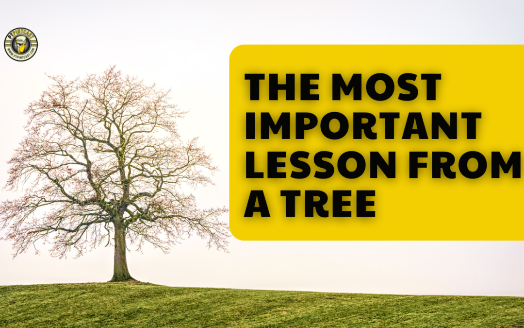 The Important Lesson a Tree Can Teach You Today